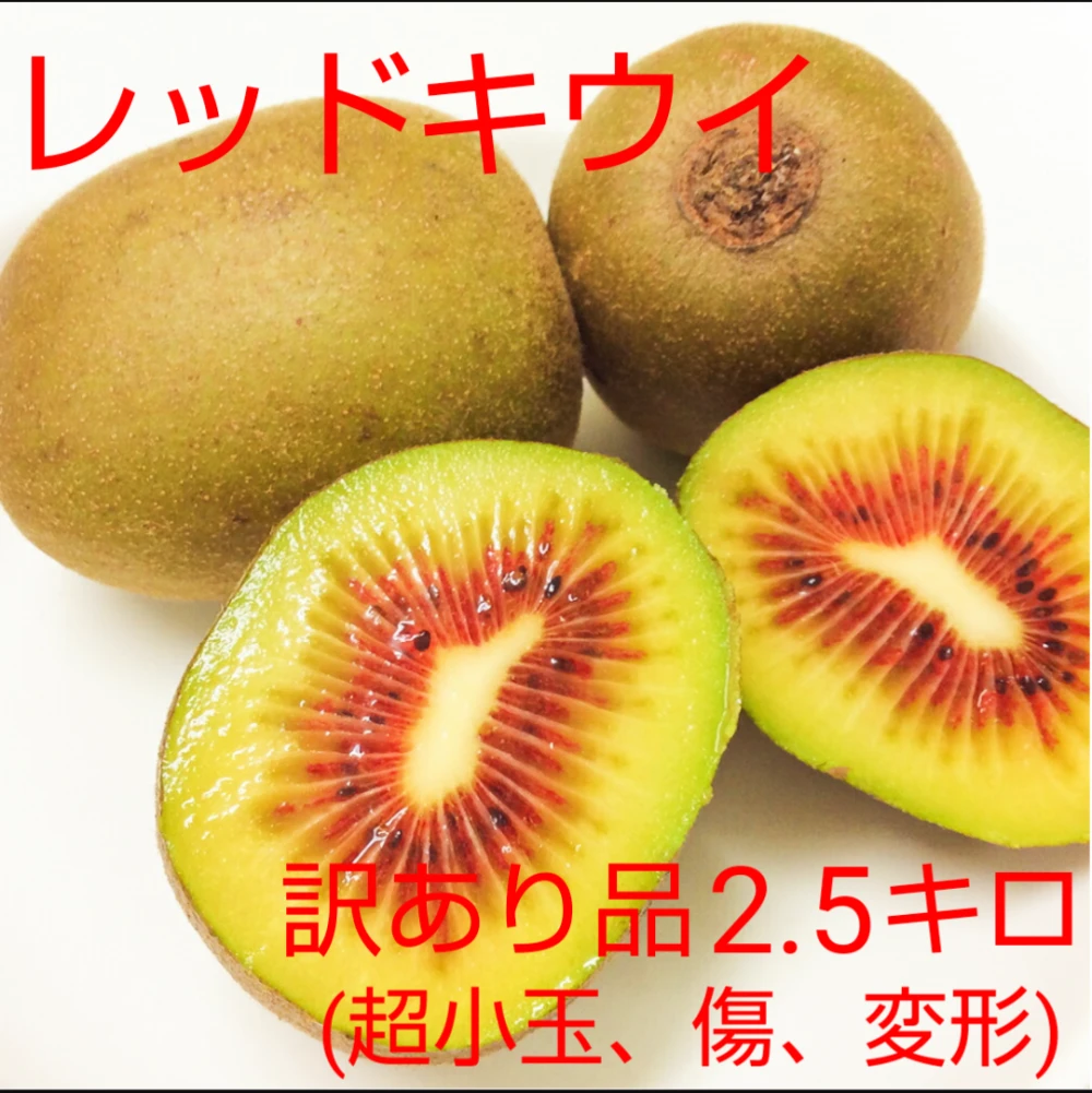 訳あり！レッドキウイ2.5キロ とろける食感・糖度20度前後の極上の甘さの