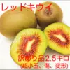 訳あり！レッドキウイ2.5キロ とろける食感・糖度20度前後の極上の甘さの