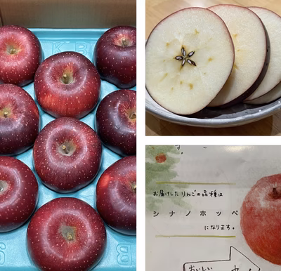 みんなの投稿の画像