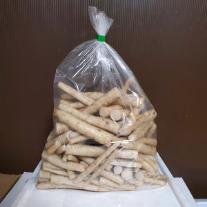 【そのまま調理OK！】香り豊か、柔らかごぼう