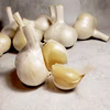 ホクホク！山形県産ジャンボニンニク1kg