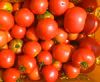 【アルプスからの贈り物】燃える太陽＊真っ赤なトマト2ｋ～農薬・不使用