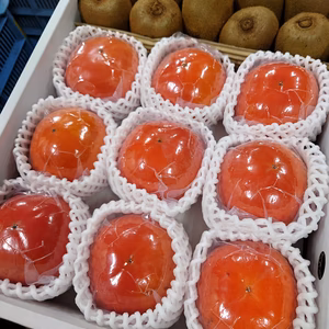 富有柿とキウイフルーツの詰合せ