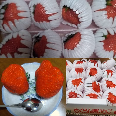 みんなの投稿の画像