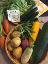 【組合せ自由な7品】渥美半島からお送りする旬と彩りの野菜セット　100ｻｲｽﾞ