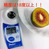 レッドキウイ大玉1.1キロ　とろける食感・糖度20度前後の極上の甘さの希少品種