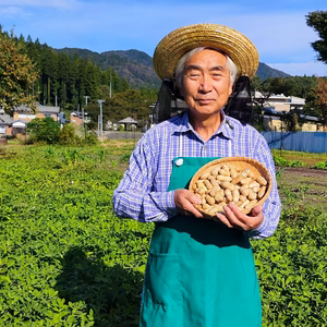 〈なま落花生〉今だけ採れたて！ジャンボ「おおまさり」クール便 塩ゆで用　1.3k