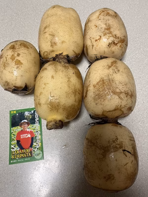 みんなの投稿の画像