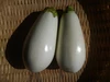 初秋のスタミナ果菜セット