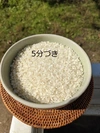【おまけ付】R3年特別栽培　京都丹後米こしひかり　5分づき　約９K