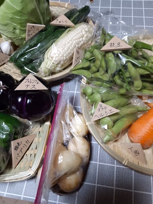 みんなの投稿の画像