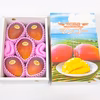 【夏ギフト】沖縄の宜野座育ちマンゴー【優品・化粧箱入り、約2kg、クール便発送】