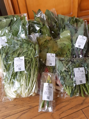 みんなの投稿の画像