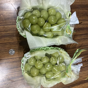 シャインマスカット　1.3㎏以上　2房　冷蔵保存品　長野県産