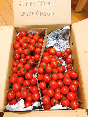 みんなの投稿の画像