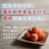 いちご越後姫350g　ギフトいちご