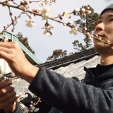 玉井浩司 | 玉井農園