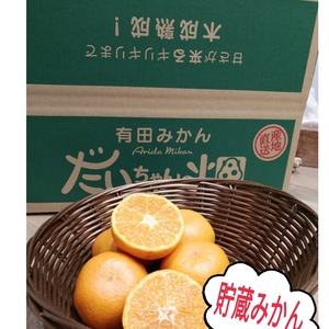 すぐ発送8箱】大セール特典付越冬貯蔵みかん!お家用！木成り 4.5Kg(箱込)
