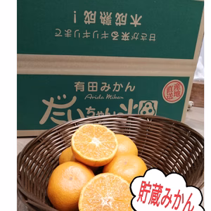 すぐ発送8箱】大セール特典付越冬貯蔵みかん!お家用！木成り 4.5Kg(箱込)