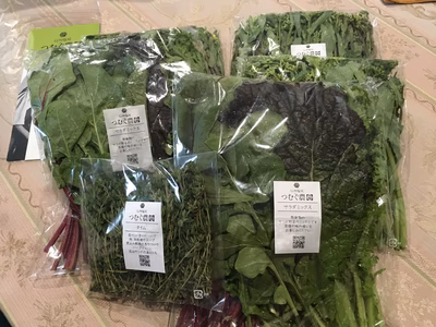 みんなの投稿の画像