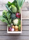 【須崎農園】こだわり栽培旬野菜おためしセット