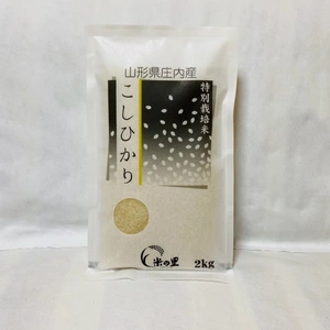 山形県産特別栽培米コシヒカリ（白米）