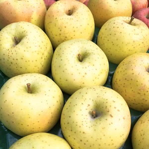 【シャキシャキのあま〜いリンゴ】青森県産　贈答用王林