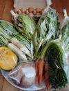 平飼い有精卵と旬野菜セット便（お試し）　わいわいファーム