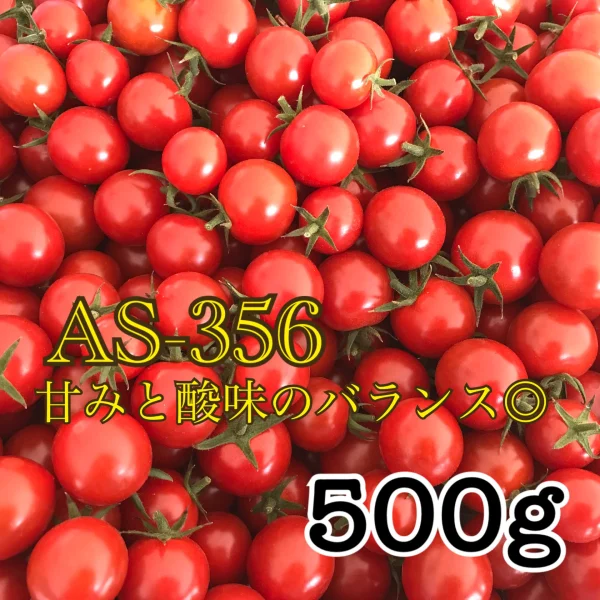 【川上農園】AS-356 ミニトマト 500g 甘みと酸味のバランスが◎
