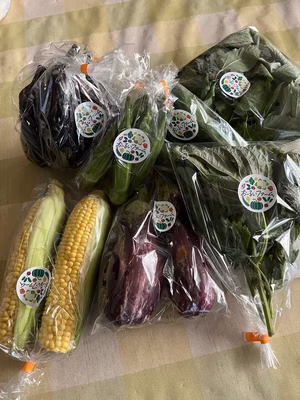 みんなの投稿の画像