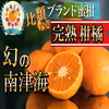 【流通期間数週間】希少過ぎる品種『南津海』お試し約1kg【4月予約】
