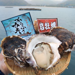 ☆旬☆【からふさ岩牡蠣】濃厚な一品です☆