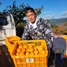 前田治樹
