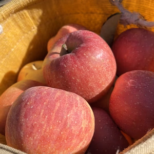 奈良・吉野　ジューシーなふじりんご　3ｋｇ