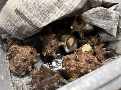 みんなの投稿の画像