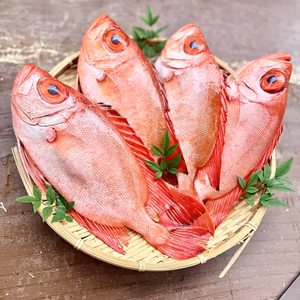 【本日発送限定】今朝獲れキントキ ー４尾（2.3kg）