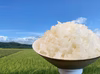 【新米】農薬・化学肥料不使用『厳選4種食べ比べ』白米3種各2kg＋黒米200g
