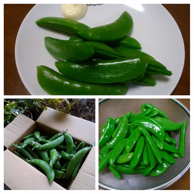 みんなの投稿の画像