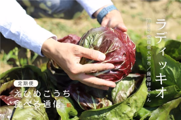 【定期購読】えひめ・こうち 食べる通信【2025年11月号／食べ物付き読みもの】