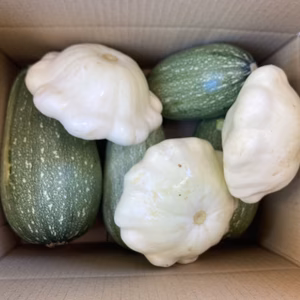 【お得なまとめ買い！！】ほぼ自然栽培！！夏が美味しい定番のズッキーニ！！