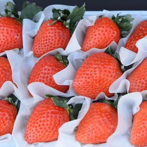大粒いちごギフト(4L以上)9～15粒