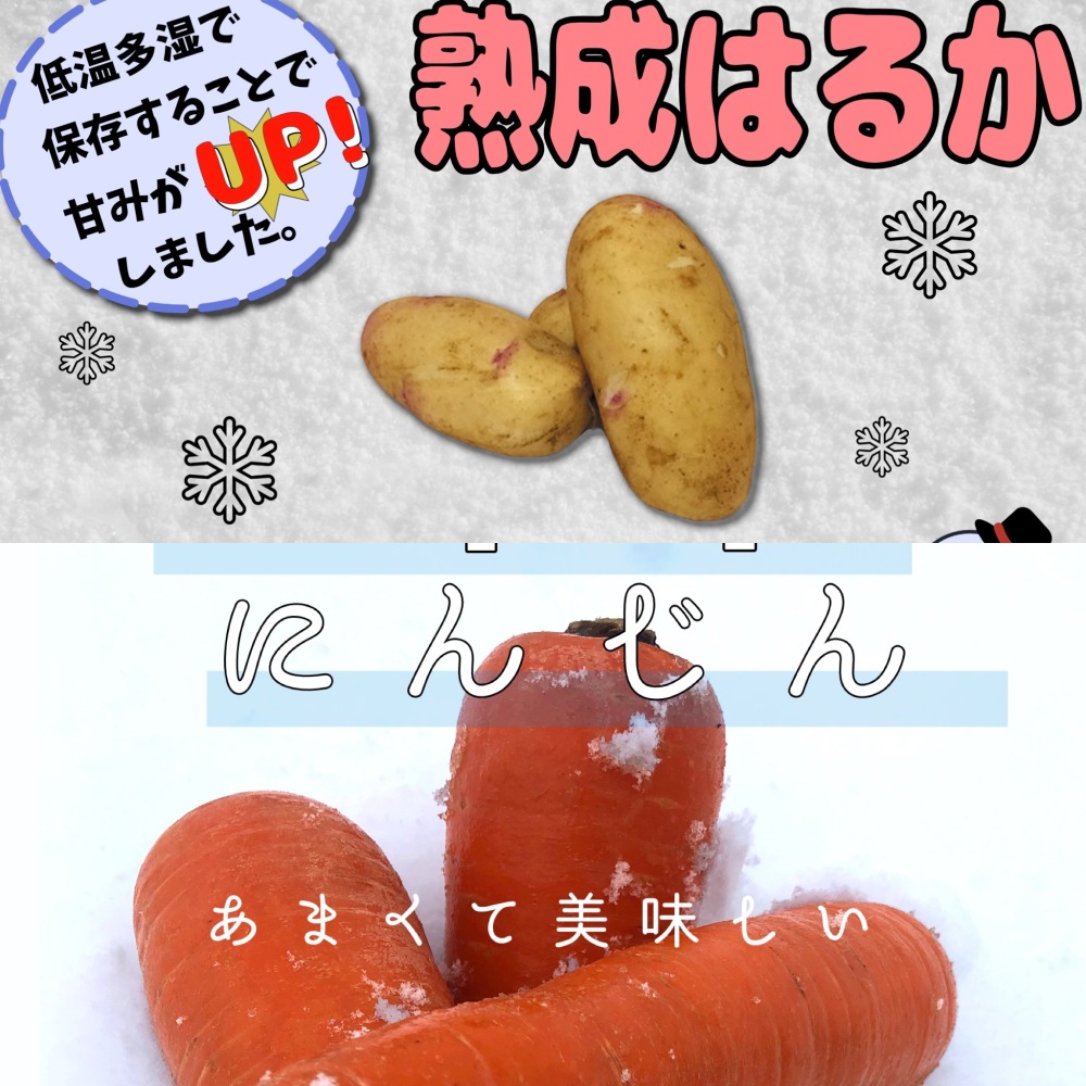 雪下人参の産直通販・お取り寄せ商品｜ポケットマルシェ｜産地