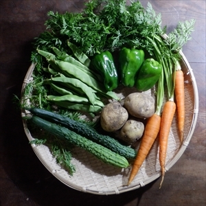自然栽培の野菜Sセット+きゅうり2kg+タワラヨーデル3kg