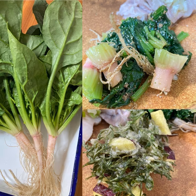 みんなの投稿の画像