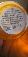 日本蜜蜂のはちみつ　100％PURE　RAW　