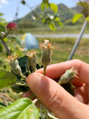 みんなの投稿の画像