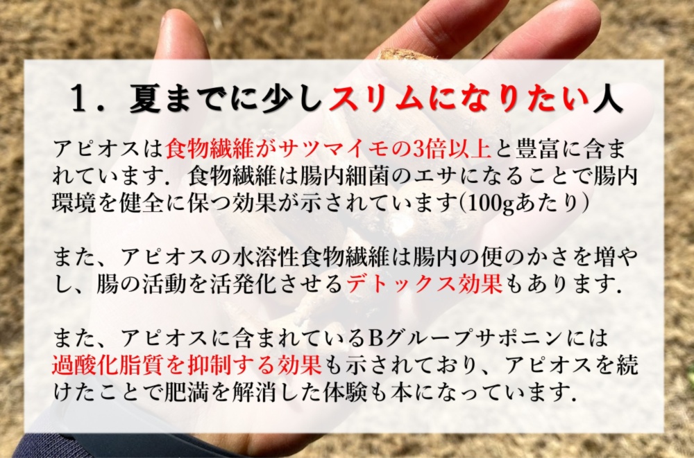 レシピ有 レンジでチンで次の日ドッサリ 食物繊維の塊 農薬不使用アピオス 農家漁師から産地直送の通販 ポケットマルシェ