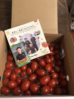 みんなの投稿の画像