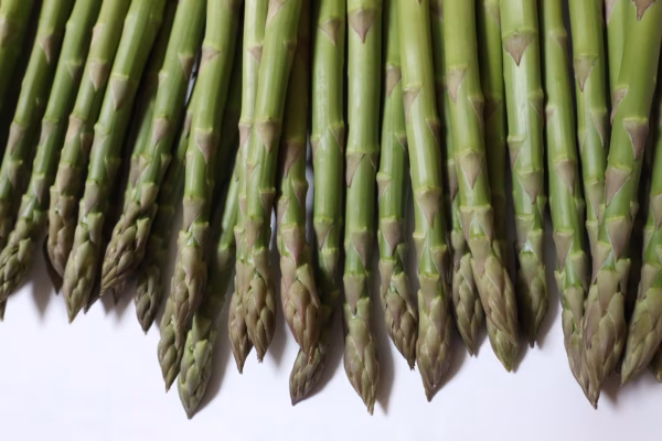 　《4月発送》春芽アスパラガス　L とMサイズ各500g+訳ありアスパラのおまけ