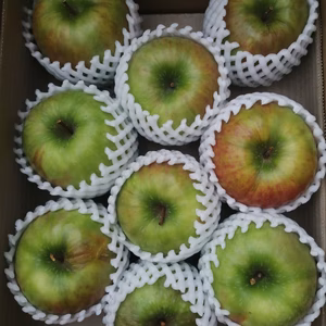 クッキングアップル「グラニースミス」家庭用、特別栽培